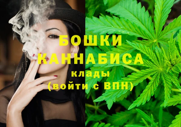 винт Абаза
