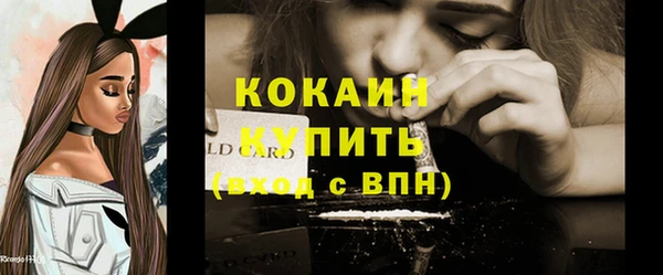 винт Абаза