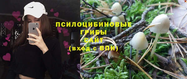 винт Абаза