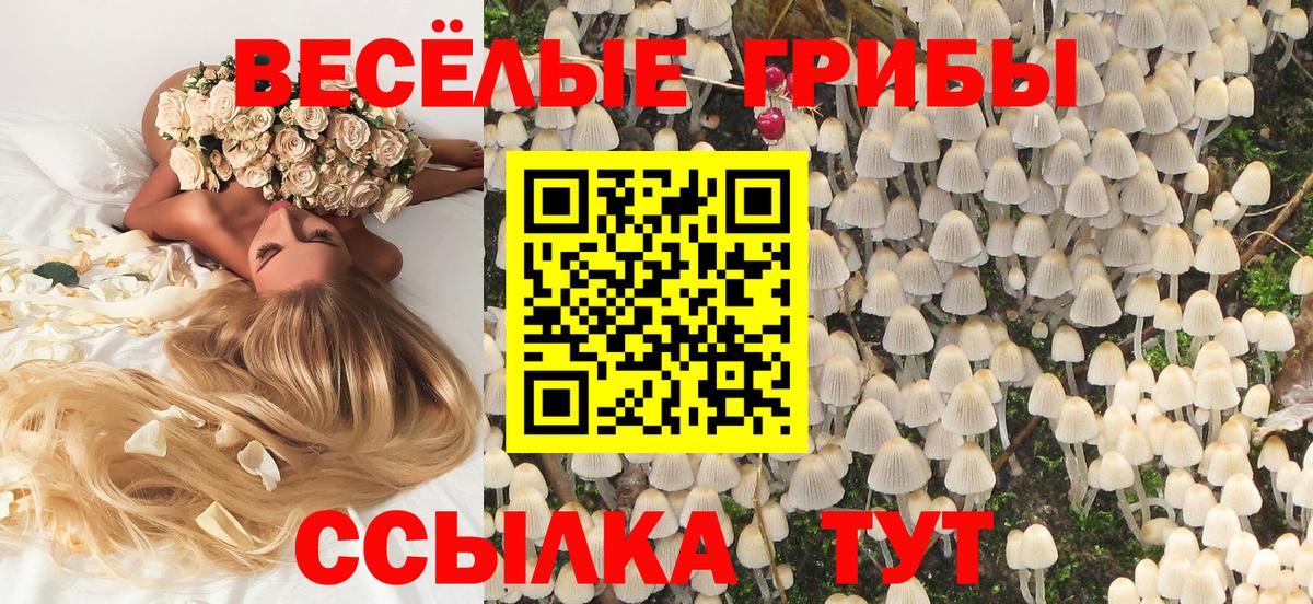 Псилоцибиновые грибы прущие грибы  где купить наркоту  Галлюциногенные грибы MAGIC MUSHROOMS  Рязань  Вход с VPN 